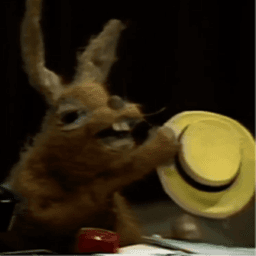 hollow_hare avatar