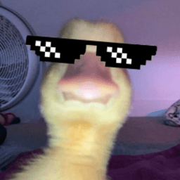 olafficiel avatar