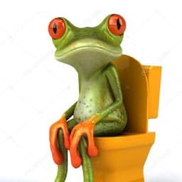 twofacefrog0420 avatar