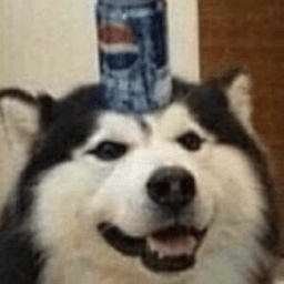 loganmr_ avatar