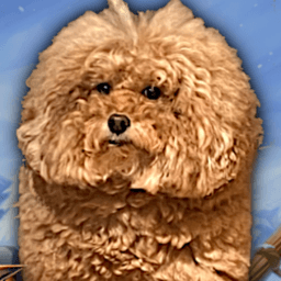 Darakai9 avatar