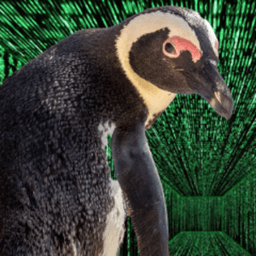 vsc_parZival avatar