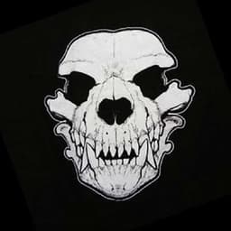 bearotarrr avatar