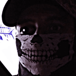 SiEgEfRiEdErUs avatar