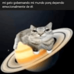 celimfnx avatar