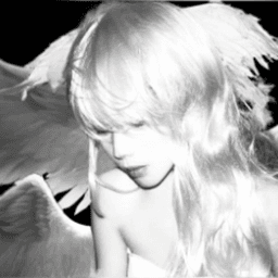 evolissXVII avatar
