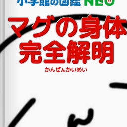 まぐいーえっくす avatar
