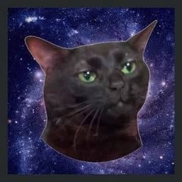 quaaludekid avatar