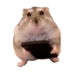 SHLAQQ avatar