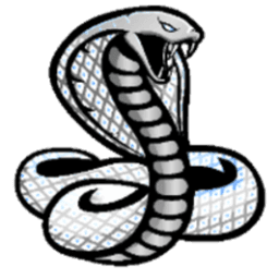 SilverSnakeSlays avatar