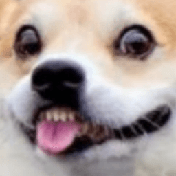 CapnKayso avatar