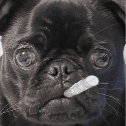 Puplexio avatar