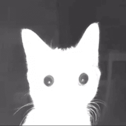 TAKAKENO avatar