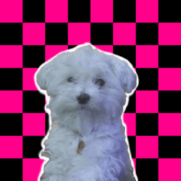 kiute_ avatar