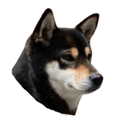 cobeznero avatar