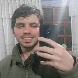 mateuzinholima avatar