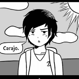 Chinogranjero avatar