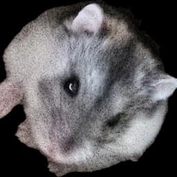 FungyFam avatar