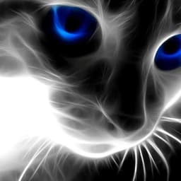Caffrey avatar