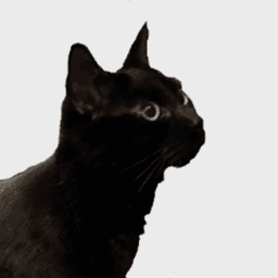 it_Azure avatar