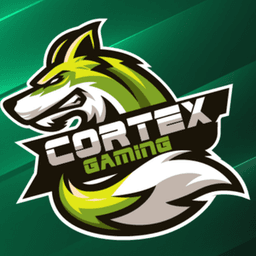 CortexGaming333 avatar