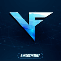 valkyfamily avatar