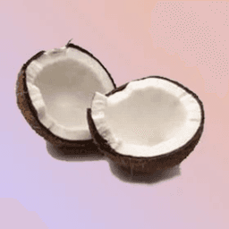 JamaicanCoconut avatar