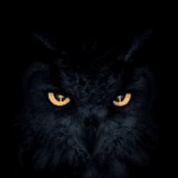 deadlyowl98 avatar