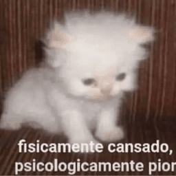 fbi_policia_wiu_wiu avatar