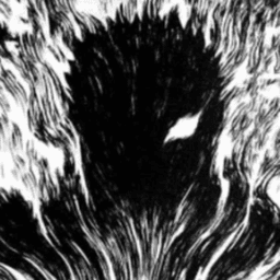 shinojarcor avatar