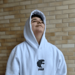 raf1nhafps avatar