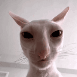 NotSeriousDan avatar