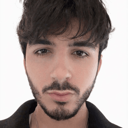 ferrinfs avatar