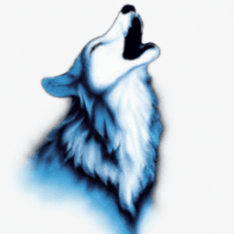 UnlimitedWolfs avatar