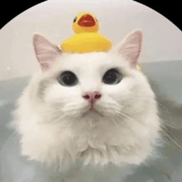 rattistreams avatar
