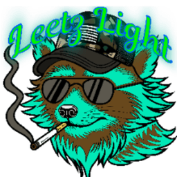 LeetzLightGaming avatar