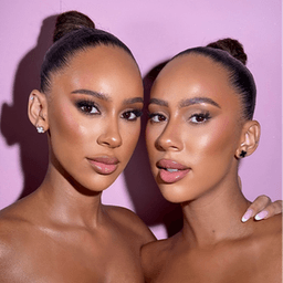 theneltwins avatar