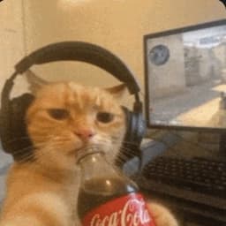 Veylor_Live avatar