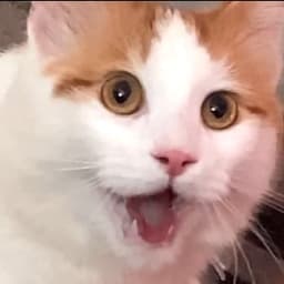 D3M0M4N25_gaming avatar