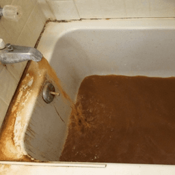 Daddybathwater avatar