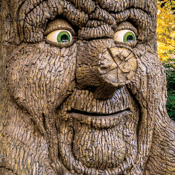 OakTheIllyrian avatar