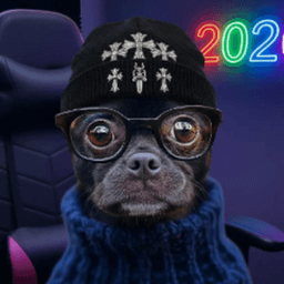 808PeeWee avatar
