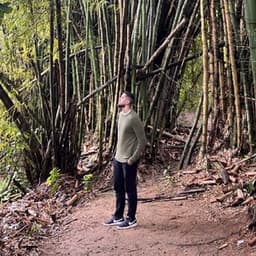 luisandrebr avatar
