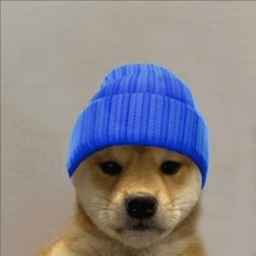 balto35 avatar