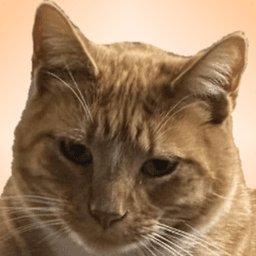 CWilsonLPC avatar