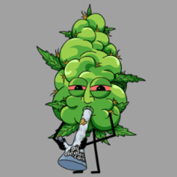 zdankdabz avatar