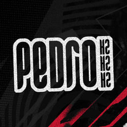 pedrohzhzh avatar