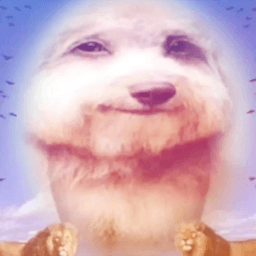 caioozzh avatar