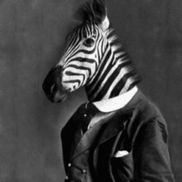 Soy_el_zebra avatar