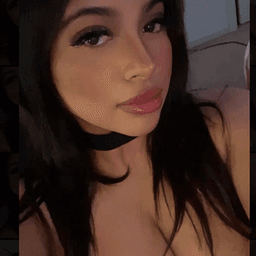 yafavlatina_ avatar
